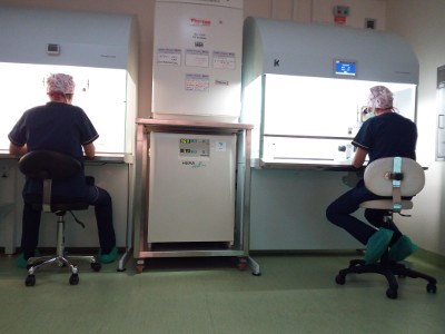 Attività in laboratorio